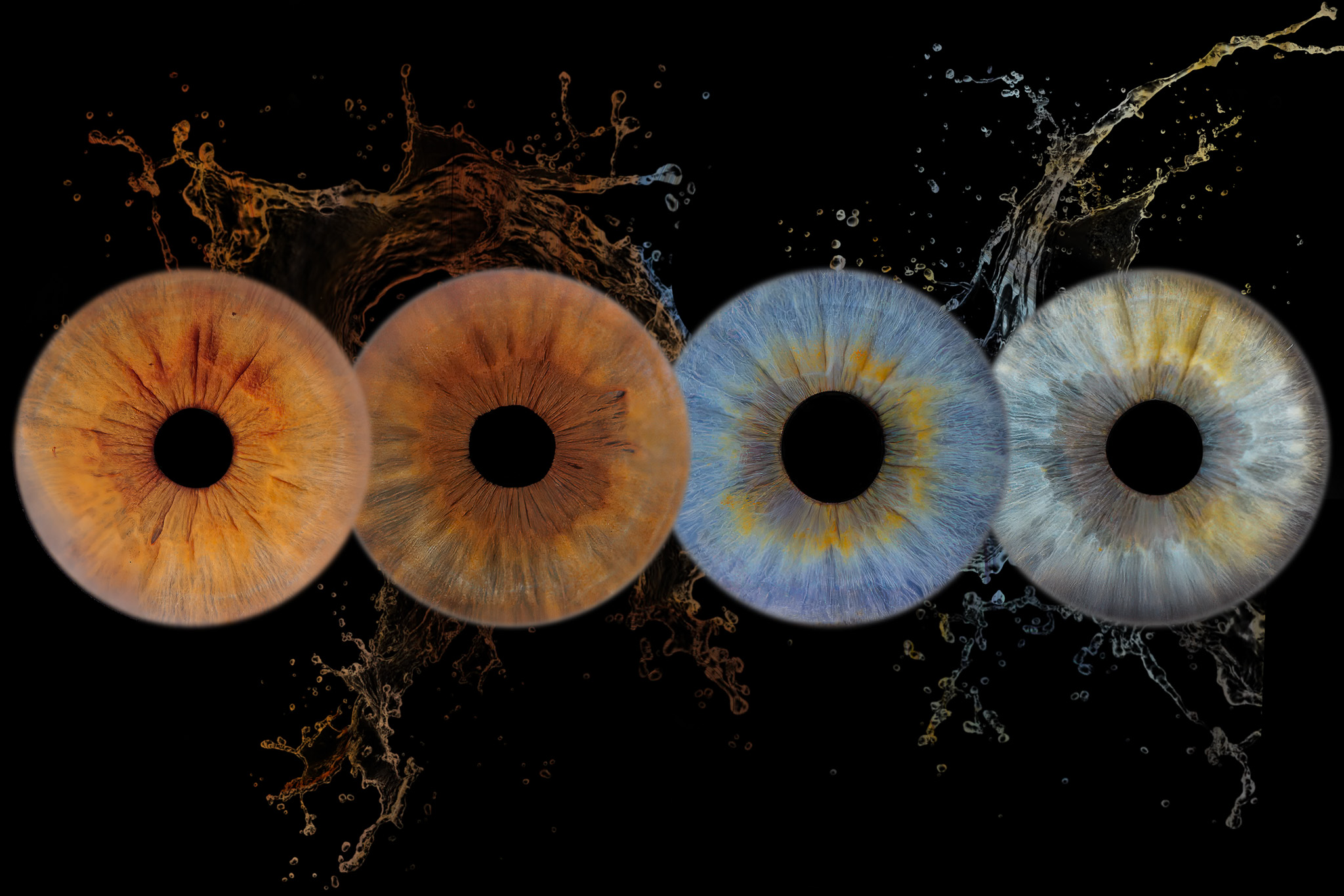 IRIS